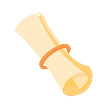 education graduation diploma roll icon vector