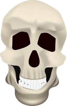 Isolated skull icon in 3d style. vector