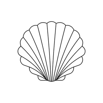 Scallop sea shell line art vector