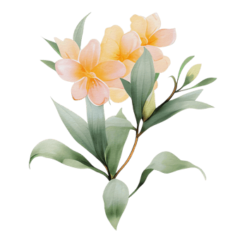watercolor botanical elements, transparent background, isolated, no background, png