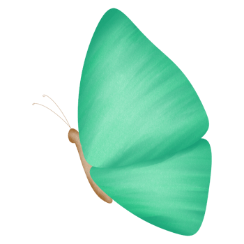Little lovely butterfly png