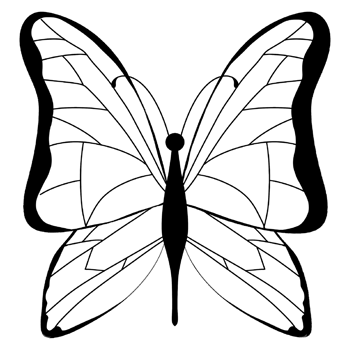 Little lovely butterfly png