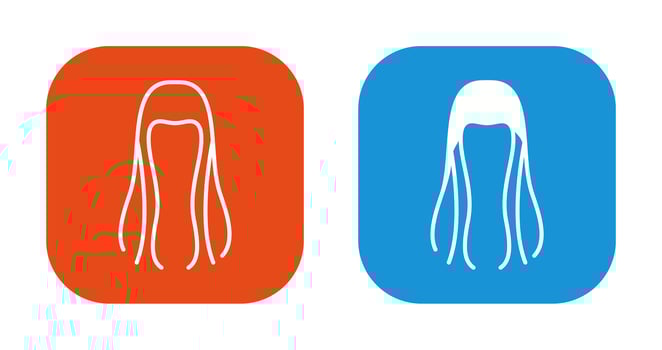 Hair Vector Icon