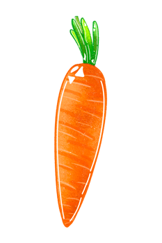 Carrot isolated, carrot illustration, vegetable png