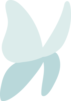flying butterfly illustration png