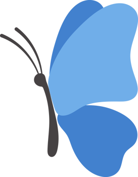 flying butterfly illustration png