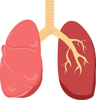 Red And Pastel Yellow Lungs Icon In Flat Style. vector