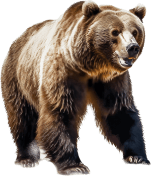Bear with . png