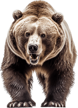 Bear with . png