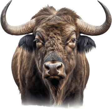 Buffalo with . png