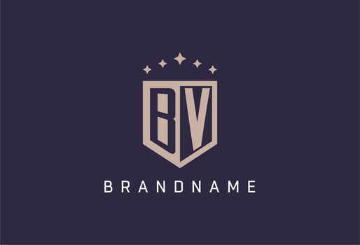 BV initial shield logo icon geometric style design vector