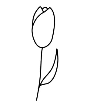 botanical line art leaves flower vector illustration