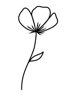botanical line art leaves flower vector illustration