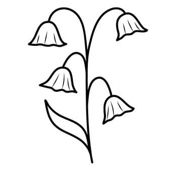 botanical line art leaves flower vector illustration