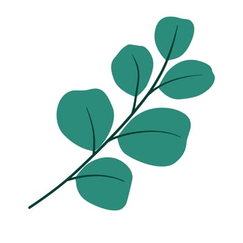 fall flower autumn botanical leaves illustration vector