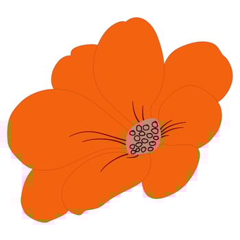 fall flower autumn botanical leaves illustration vector