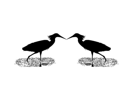 Pair of The Black Heron Bird, Egretta Ardesiaca, also known as the Black Egret Silhouette for Art Illustration, Logo, Pictogram, Website, or Graphic Design Element. Vector Illustration