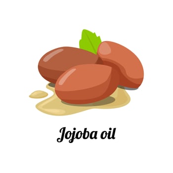 Jojoba oil hair care stronger healthy illustration icon sign design vector