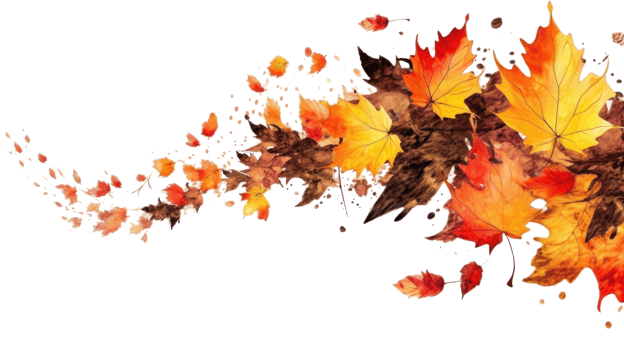 Autumn leaves frame. Illustration png