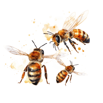Honey bee isolated. Illustration png