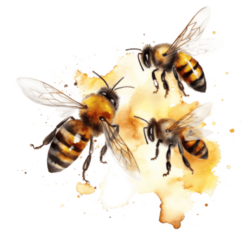 Honey bee isolated. Illustration png