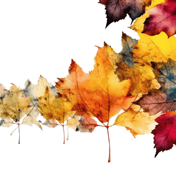 Autumn leaves frame. Illustration png