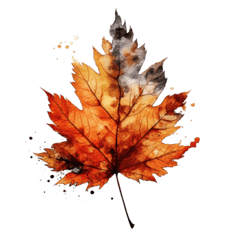 Autumn leaf isolated. Illustration png