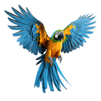 Bright parrot isolated. Illustration png