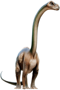 Brachiosaurus with . png