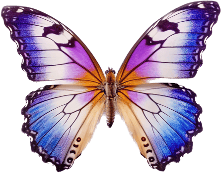 Butterfly with . png
