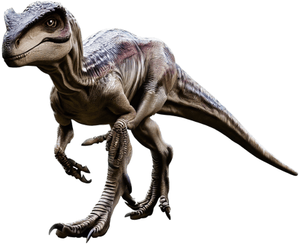 Raptor with . png