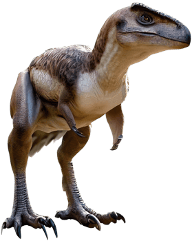 Raptor with . png