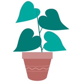 green potted indoor plant vector illustation