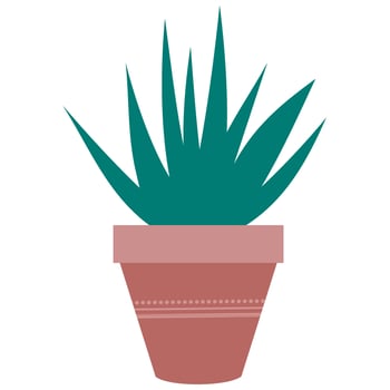 green potted indoor plant vector illustation