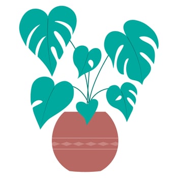 green potted indoor plant vector illustation