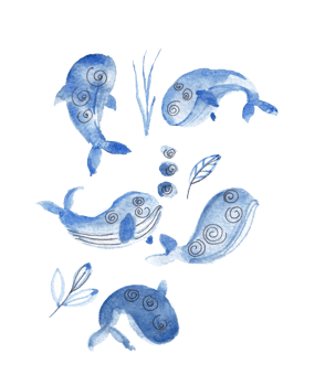 Cute Dolphin Watercolor Illustration png