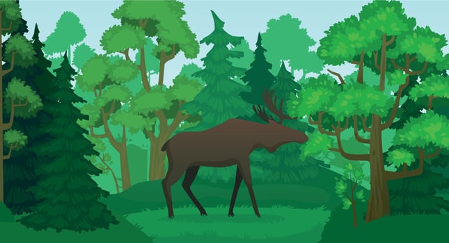 Cartoon moose in forest landscape. Deer silhouette in woods, green forests trees vector illustration