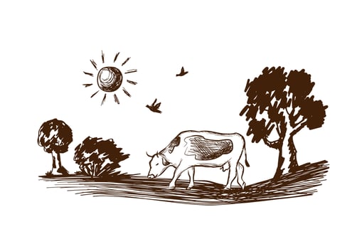 Cow chewing grass vector retro sketch. Meadow, grass, hill landscape. Cattle with countryside panorama drawing isolated on white.