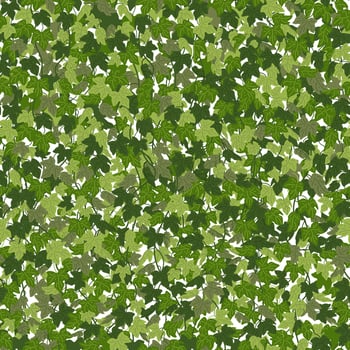 Ivy background, green creeper vines curtain. Vector illustration in flat cartoon style.