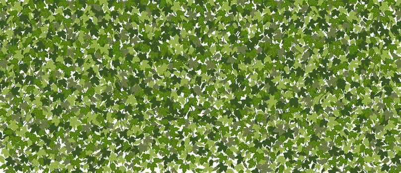 Ivy horizontal background, green creeper vines curtain. Vector illustration in flat cartoon style