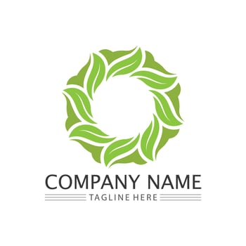 Tree logo icon vector illustration design.Vector silhouette of a tree templates of tree logo and roots  tree of life design illustration