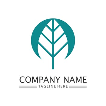 Tree logo icon vector illustration design.Vector silhouette of a tree templates of tree logo and roots  tree of life design illustration