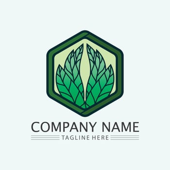 leaf logo design vector for nature symbol template editable,Green leaf logo ecology nature element vector icon.