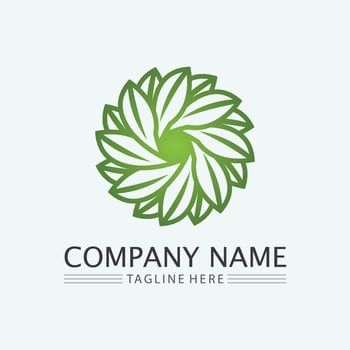 leaf logo design vector for nature symbol template editable,Green leaf logo ecology nature element vector icon.