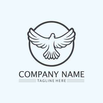 Bird wing Dove icon Template vector illustration