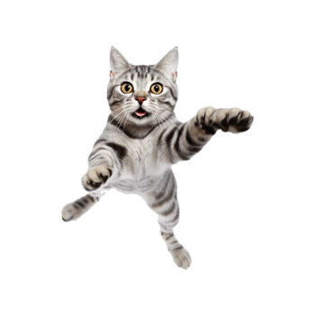 cat png generative ai