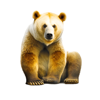 bear png generative ai