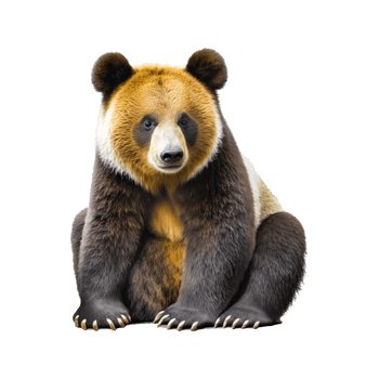 bear png generative ai