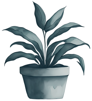 Watercolor House plant. png