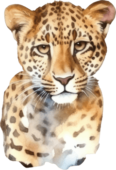 Leopard Watercolor Illustration. png